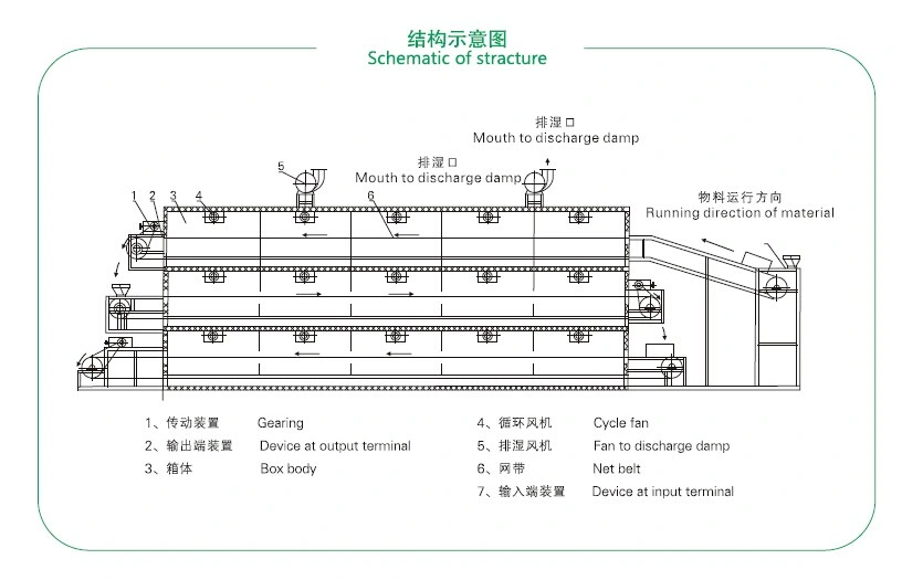 Industrial Continuous Belt Drying Machine for Fruit and Vegetable